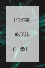 马斯克：吃了儿子一拳