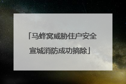 马蜂窝威胁住户安全 宣城消防成功摘除