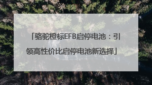 骆驼橙标EFB启停电池：引领高性价比启停电池新选择