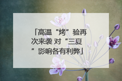 高温“烤”验再次来袭 对“三夏”影响各有利弊