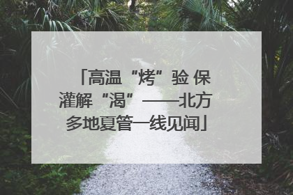 高温“烤”验 保灌解“渴”——北方多地夏管一线见闻