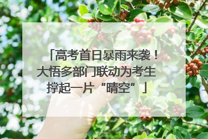 高考首日暴雨来袭！大悟多部门联动为考生撑起一片“晴空”