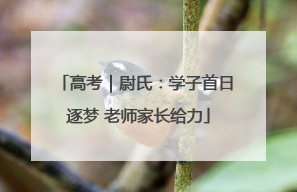 高考｜尉氏：学子首日逐梦 老师家长给力