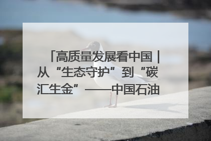高质量发展看中国｜从“生态守护”到“碳汇生金”——中国石油大庆油田绿色蝶变