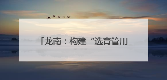 龙南：构建“选育管用”全链条闭环机制 激活社区治理“新引擎”