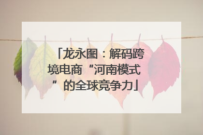 龙永图：解码跨境电商“河南模式”的全球竞争力