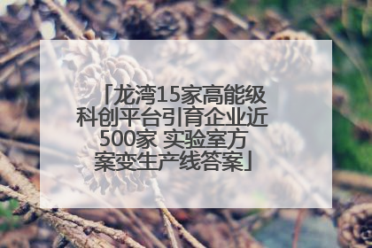 龙湾15家高能级科创平台引育企业近500家 实验室方案变生产线答案