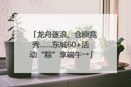 龙舟逐浪、仓廪竞秀……东城60+活动“粽”享端午→