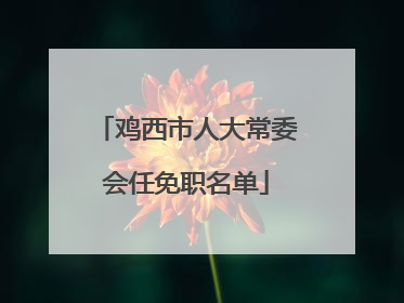 鸡西市人大常委会任免职名单