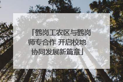 鹤岗工农区与鹤岗师专合作 开启校地协同发展新篇章