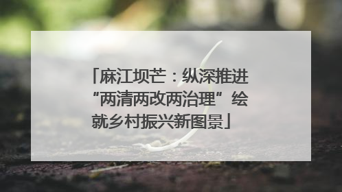 麻江坝芒：纵深推进“两清两改两治理”绘就乡村振兴新图景