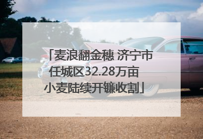 麦浪翻金穗 济宁市任城区32.28万亩小麦陆续开镰收割