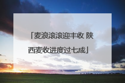 麦浪滚滚迎丰收 陕西麦收进度过七成