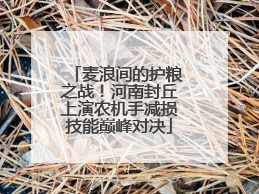 麦浪间的护粮之战！河南封丘上演农机手减损技能巅峰对决