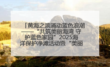 黄海之滨涌动蓝色浪潮——“共筑美丽海湾 守护蓝色家园”2025海洋保护净滩活动暨“美丽江苏—江河湖海青蓝行”海洋篇在连云港举行