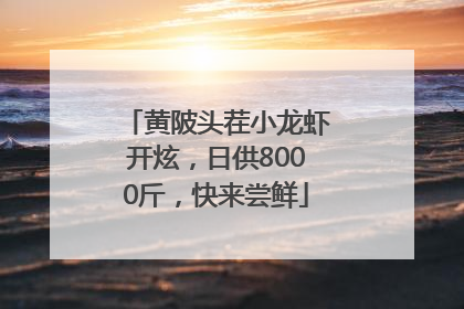 黄陂头茬小龙虾开炫，日供8000斤，快来尝鲜