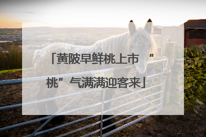 黄陂早鲜桃上市 “桃”气满满迎客来