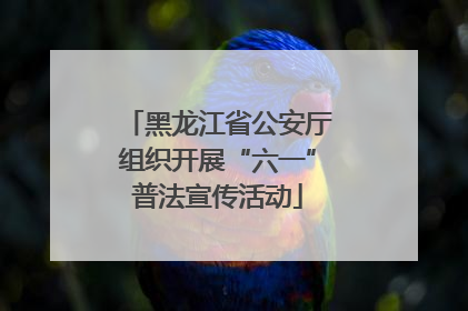 黑龙江省公安厅组织开展“六一”普法宣传活动