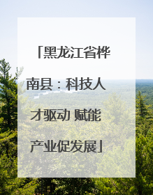 黑龙江省桦南县：科技人才驱动 赋能产业促发展