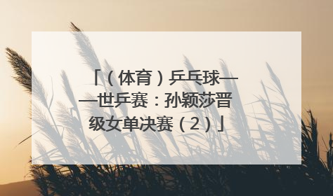 （体育）乒乓球——世乒赛：孙颖莎晋级女单决赛（2）