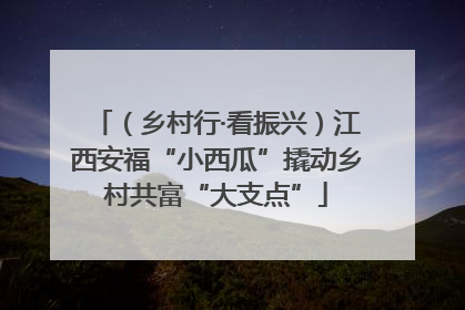 （乡村行·看振兴）江西安福“小西瓜”撬动乡村共富“大支点”