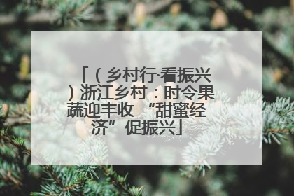 （乡村行·看振兴）浙江乡村：时令果蔬迎丰收 “甜蜜经济”促振兴