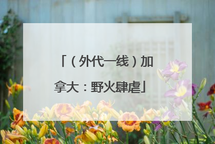 （外代一线）加拿大：野火肆虐