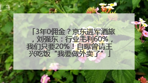 3年0佣金？京东进军酒旅，刘强东：行业毛利60%，我们只要20%！自曝曾请王兴吃饭“我要做外卖了”