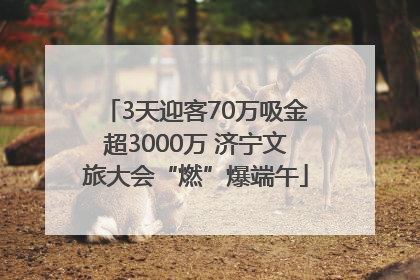 3天迎客70万吸金超3000万 济宁文旅大会“燃”爆端午