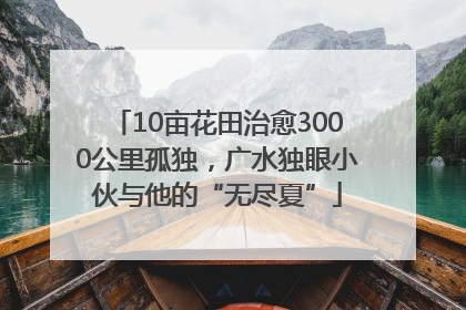 10亩花田治愈3000公里孤独，广水独眼小伙与他的“无尽夏”