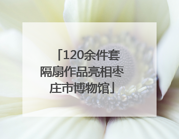 120余件套隔扇作品亮相枣庄市博物馆