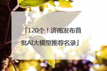 120个！济南发布首批AI大模型推荐名录