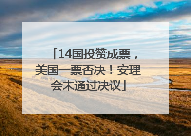 14国投赞成票，美国一票否决！安理会未通过决议