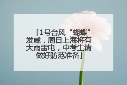 1号台风“蝴蝶”发威，周日上海将有大雨雷电，中考生请做好防范准备