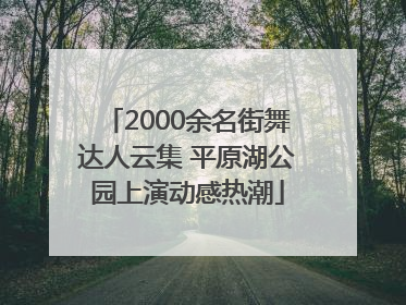 2000余名街舞达人云集 平原湖公园上演动感热潮