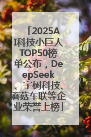 2025AI科技小巨人TOP50榜单公布，DeepSeek、宇树科技、蘑菇车联等企业荣誉上榜