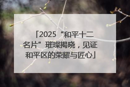 2025“和平十二名片”璀璨揭晓，见证和平区的荣耀与匠心