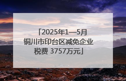 2025年1—5月铜川市印台区减免企业税费 3757万元