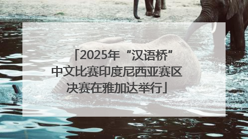 2025年“汉语桥”中文比赛印度尼西亚赛区决赛在雅加达举行