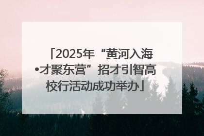 2025年“黄河入海•才聚东营”招才引智高校行活动成功举办
