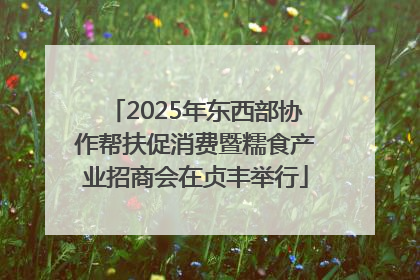 2025年东西部协作帮扶促消费暨糯食产业招商会在贞丰举行