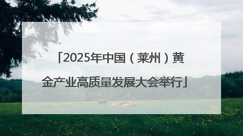 2025年中国（莱州）黄金产业高质量发展大会举行