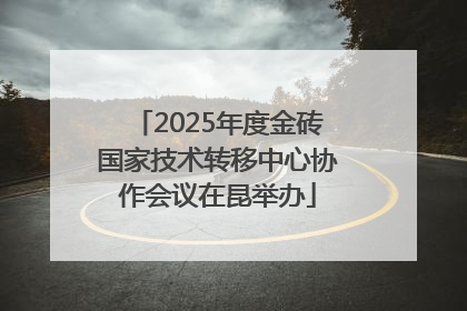 2025年度金砖国家技术转移中心协作会议在昆举办