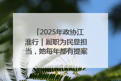 2025年政协江淮行｜履职为民显担当，她每年都有提案被评为“优秀”