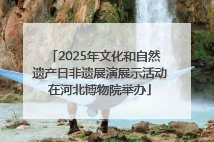 2025年文化和自然遗产日非遗展演展示活动在河北博物院举办