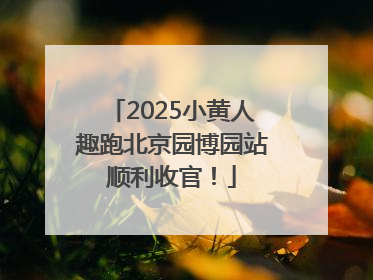 2025小黄人趣跑北京园博园站顺利收官！