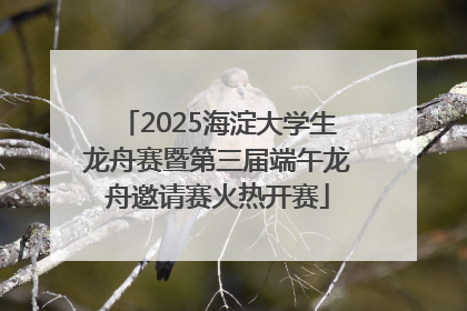 2025海淀大学生龙舟赛暨第三届端午龙舟邀请赛火热开赛