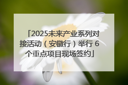 2025未来产业系列对接活动（安徽行）举行 6个重点项目现场签约