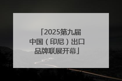 2025第九届中国（印尼）出口品牌联展开幕