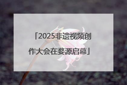 2025非遗视频创作大会在婺源启幕